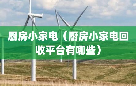 厨房小家电（厨房小家电回收平台有哪些）