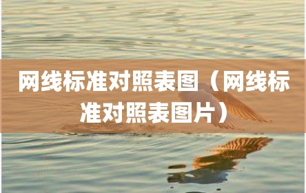 网线标准对照表图（网线标准对照表图片）
