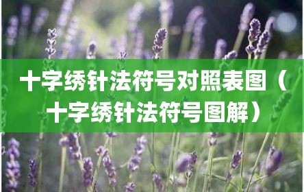 十字绣针法符号对照表图（十字绣针法符号图解）