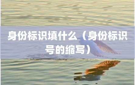 身份标识填什么（身份标识号的缩写）
