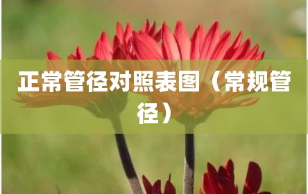正常管径对照表图（常规管径）