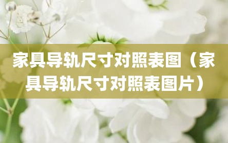 家具导轨尺寸对照表图（家具导轨尺寸对照表图片）