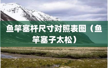鱼竿塞杆尺寸对照表图（鱼竿塞子太松）