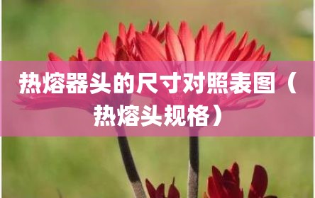 热熔器头的尺寸对照表图（热熔头规格）