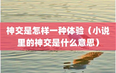 神交是怎样一种体验（小说里的神交是什么意思）
