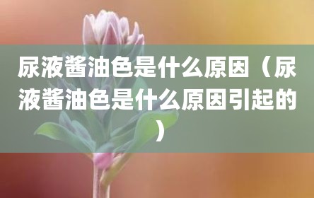 尿液酱油色是什么原因（尿液酱油色是什么原因引起的）