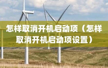 怎样取消开机启动项（怎样取消开机启动项设置）