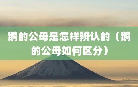 鹅的公母是怎样辨认的（鹅的公母如何区分）