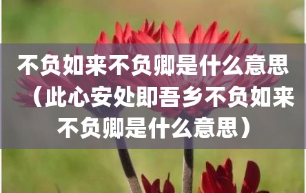 不负如来不负卿是什么意思（此心安处即吾乡不负如来不负卿是什么意思）