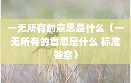 一无所有的意思是什么（一无所有的意思是什么 标准答案）