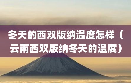 冬天的西双版纳温度怎样（云南西双版纳冬天的温度）