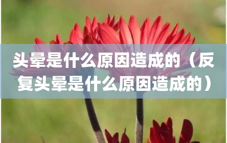 头晕是什么原因造成的（反复头晕是什么原因造成的）