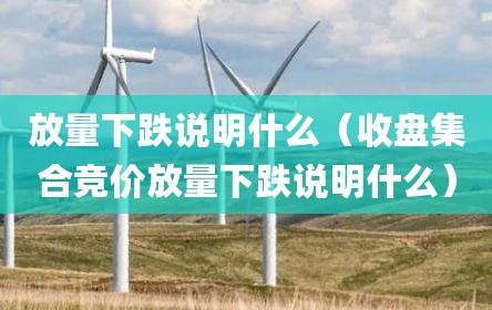 放量下跌说明什么（收盘集合竞价放量下跌说明什么）