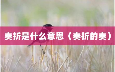 奏折是什么意思（奏折的奏）