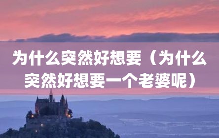 为什么突然好想要（为什么突然好想要一个老婆呢）