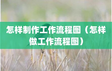 怎样制作工作流程图（怎样做工作流程图）