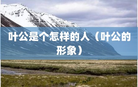 叶公是个怎样的人（叶公的形象）