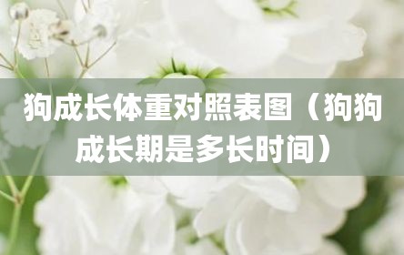 狗成长体重对照表图（狗狗成长期是多长时间）