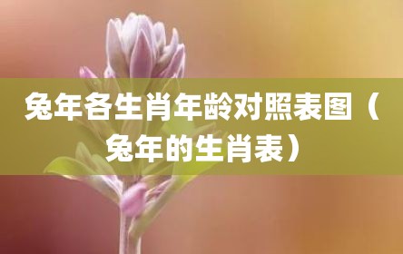兔年各生肖年龄对照表图（兔年的生肖表）