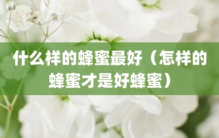 什么样的蜂蜜最好（怎样的蜂蜜才是好蜂蜜）