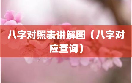 八字对照表讲解图（八字对应查询）