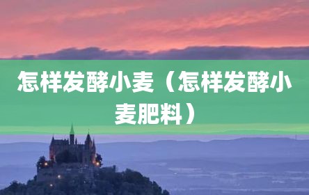 怎样发酵小麦（怎样发酵小麦肥料）