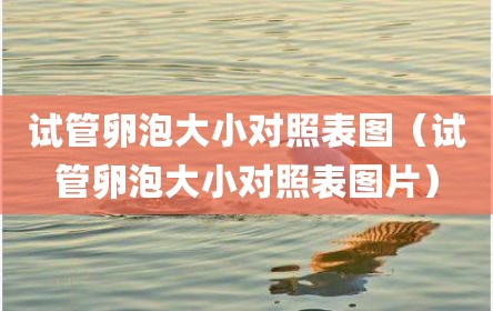 试管卵泡大小对照表图（试管卵泡大小对照表图片）