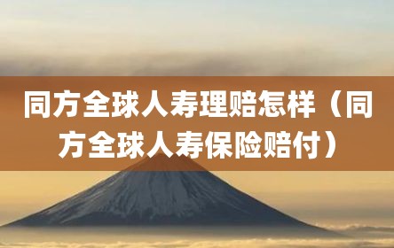 同方全球人寿理赔怎样（同方全球人寿保险赔付）