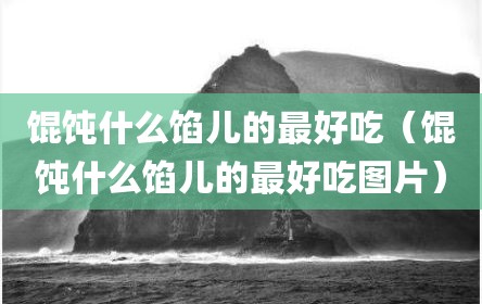 馄饨什么馅儿的最好吃（馄饨什么馅儿的最好吃图片）
