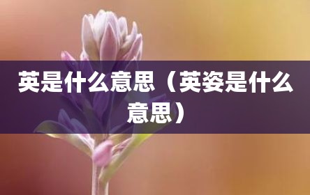 英是什么意思（英姿是什么意思）