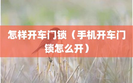 怎样开车门锁（手机开车门锁怎么开）
