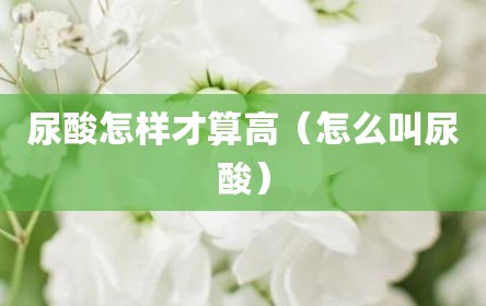 尿酸怎样才算高（怎么叫尿酸）