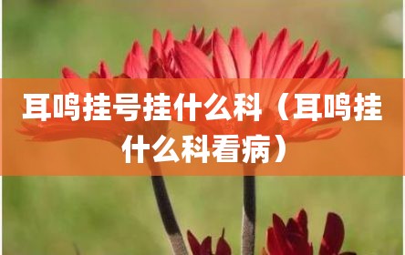耳鸣挂号挂什么科（耳鸣挂什么科看病）