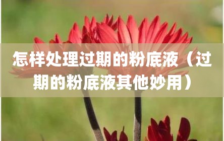 怎样处理过期的粉底液（过期的粉底液其他妙用）