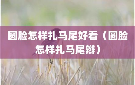 圆脸怎样扎马尾好看（圆脸怎样扎马尾辫）