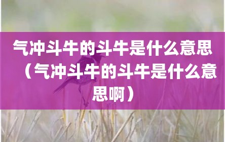 气冲斗牛的斗牛是什么意思（气冲斗牛的斗牛是什么意思啊）