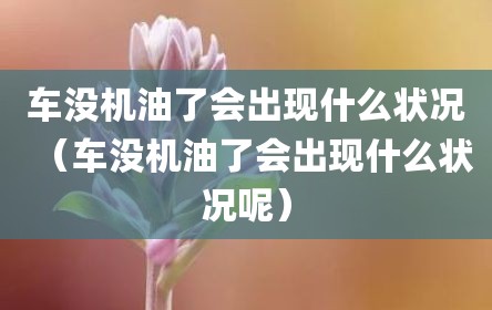 车没机油了会出现什么状况（车没机油了会出现什么状况呢）