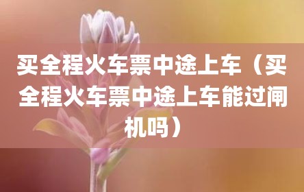 买全程火车票中途上车（买全程火车票中途上车能过闸机吗）