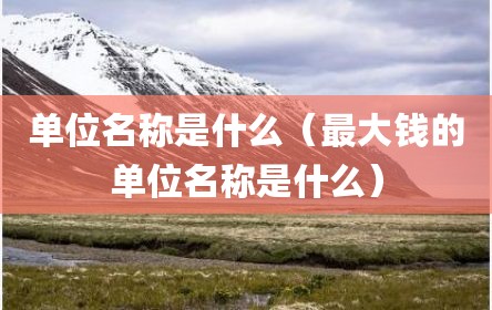 单位名称是什么（最大钱的单位名称是什么）