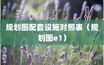 规划图配套设施对照表（规划图e1）