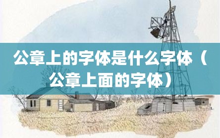公章上的字体是什么字体（公章上面的字体）
