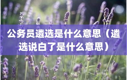 公务员遴选是什么意思（遴选说白了是什么意思）