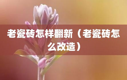 老瓷砖怎样翻新（老瓷砖怎么改造）
