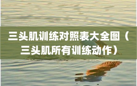 三头肌训练对照表大全图（三头肌所有训练动作）