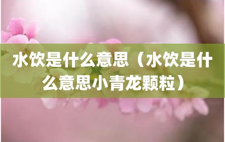 水饮是什么意思（水饮是什么意思小青龙颗粒）