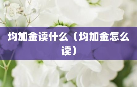 均加金读什么（均加金怎么读）