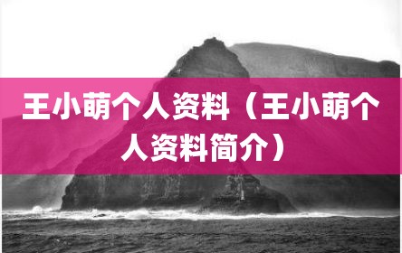 王小萌个人资料（王小萌个人资料简介）