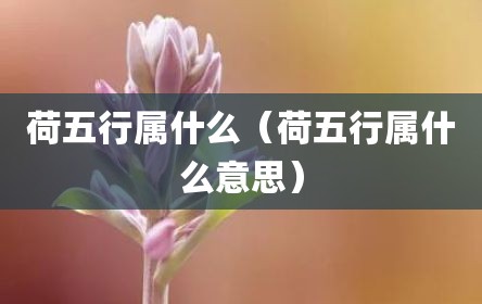 荷五行属什么（荷五行属什么意思）