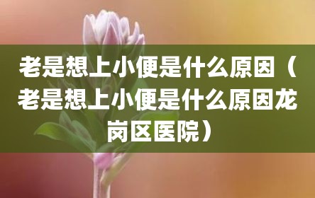 老是想上小便是什么原因（老是想上小便是什么原因龙岗区医院）