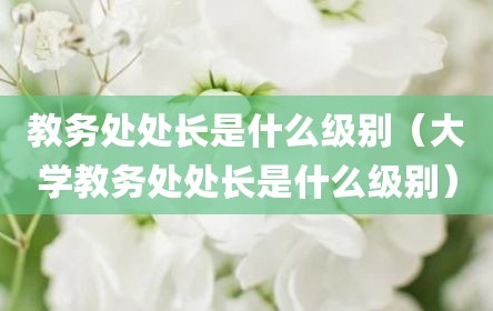 教务处处长是什么级别（大学教务处处长是什么级别）